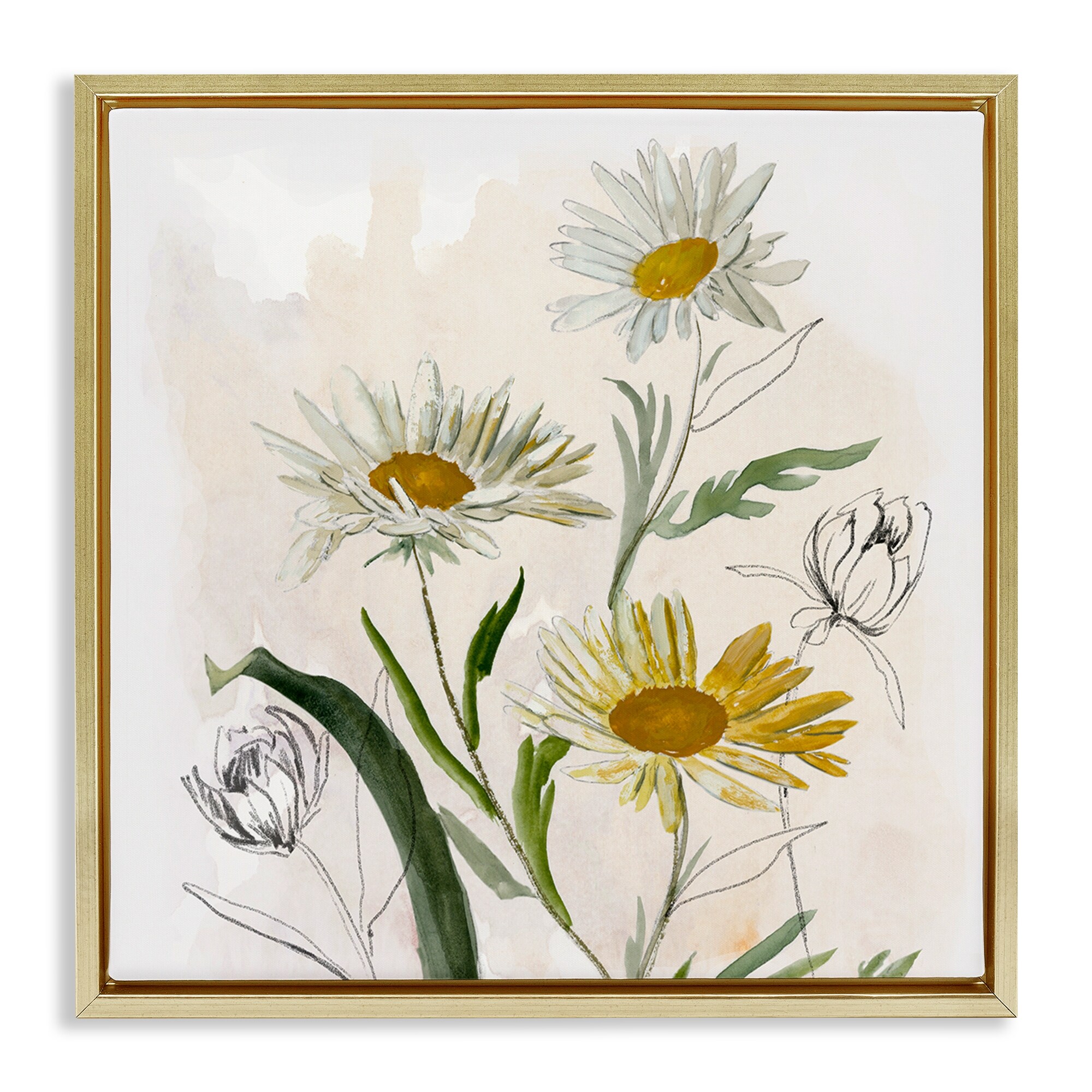 Stupell Pure Simplicity Daisies Framed Floater Canvas Wall Art Design By Jacob Q