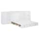 Option White
