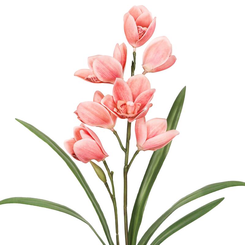 Set of 2 Coral Artificial Cymbidium Orchid Plant Flower Stem Spray 20in - 20" L x 6" W x 6" DP