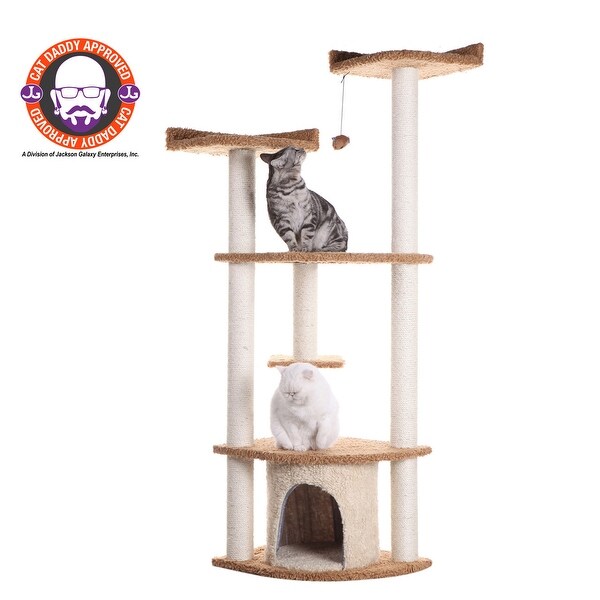 Bed bath and beyond cat perch outlet