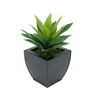 Faux Frosted Light Green Succulent in Tapered Zinc Planter