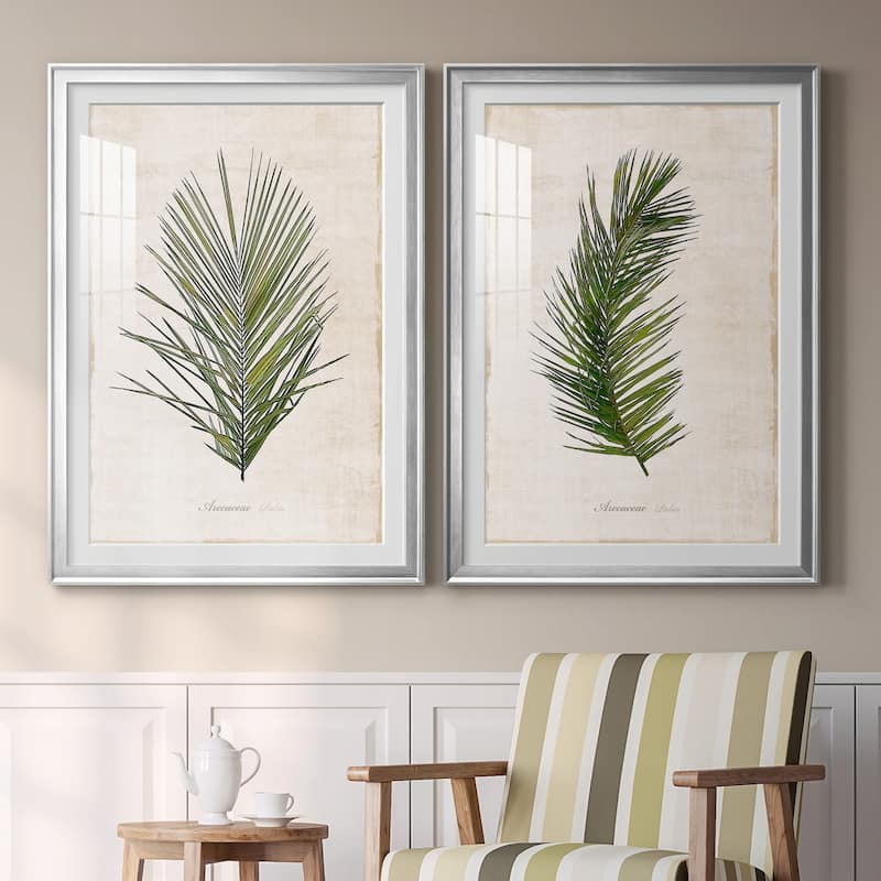 Palm Botanical I Premium Framed Print - Ready to Hang