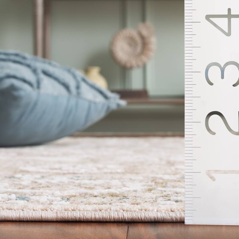 SAFAVIEH Finley Orjola Vintage Distressed Rug