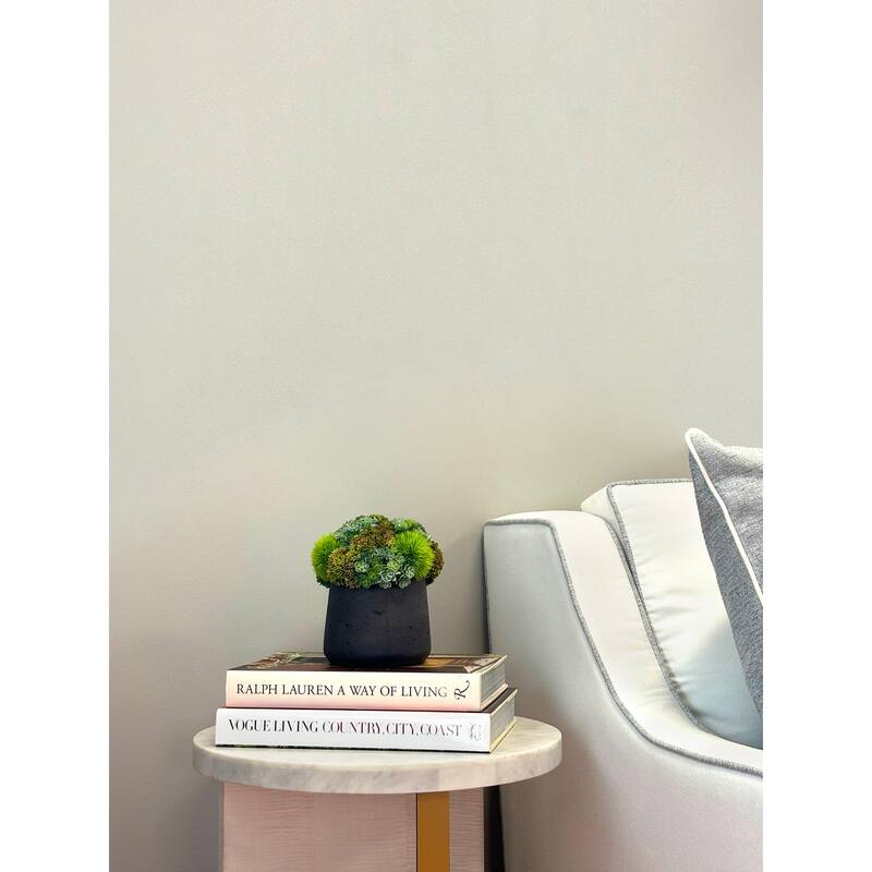 Assorted Succulents and Sedum in a Pot - Green