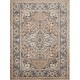 preview thumbnail 57 of 78, Nourison Concerto Traditional Persian Medallion Area Rug