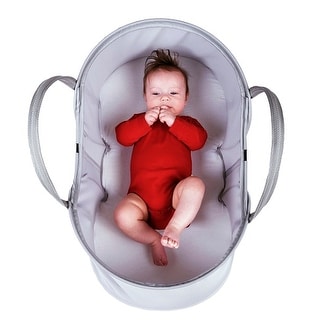 phil and teds nest travel bassinet