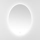 preview thumbnail 9 of 20, SAFAVIEH Nolan 32 x 2 Inch W x H Oval LED Aluminum Vanity Mirror