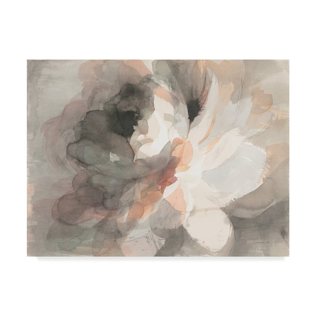 Danhui Nai 'Abstract Peony' Canvas Art