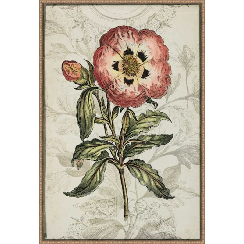 Keepsake Floral No. 2 by Jennifer Goldberger (28 x 41 in.), Framed Canvas Wall Art Print