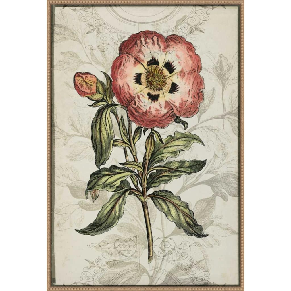 Keepsake Floral No. 2 by Jennifer Goldberger (28 x 41 in.), Framed Canvas Wall Art Print