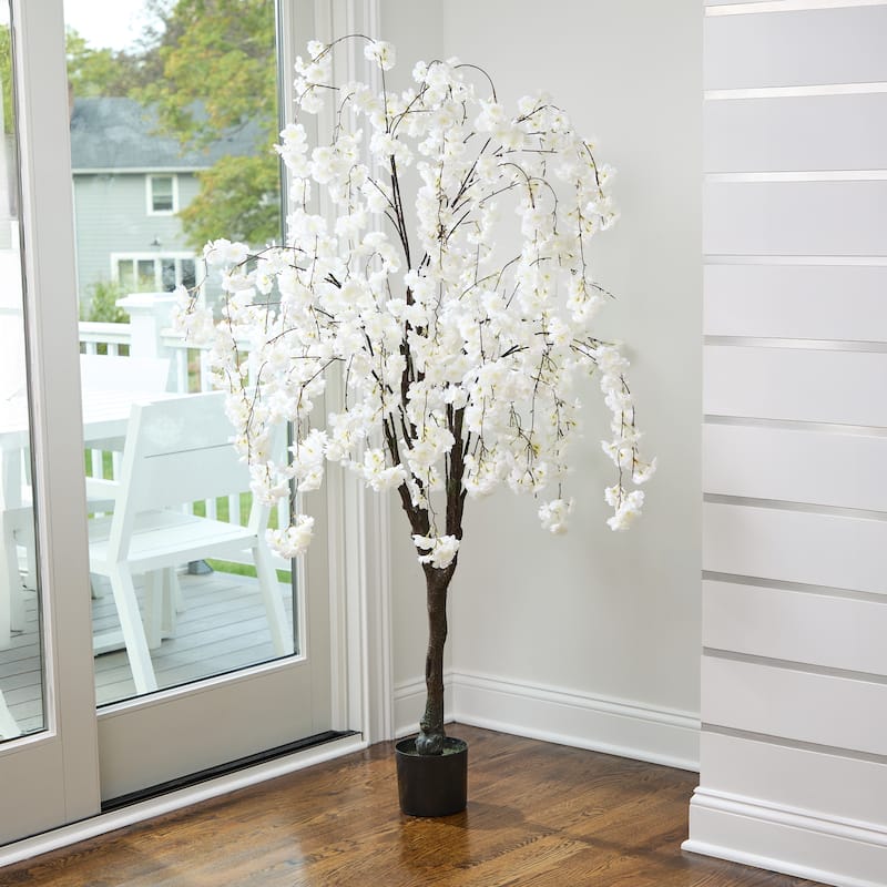 6' Weeping Cherry Tree - White