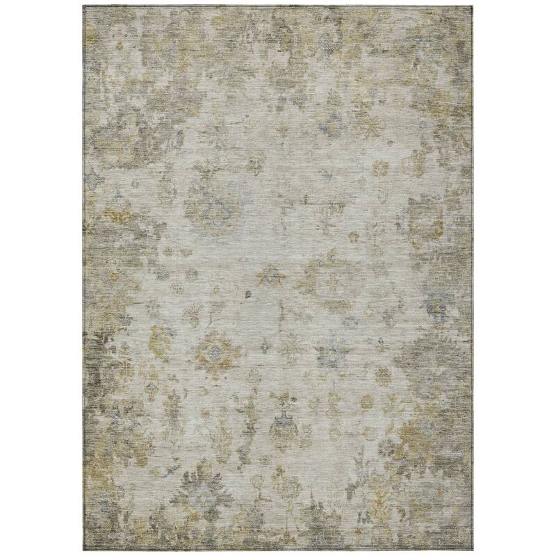 Machine Washable Indoor/ Outdoor Vintage Traditional Chantille Rug