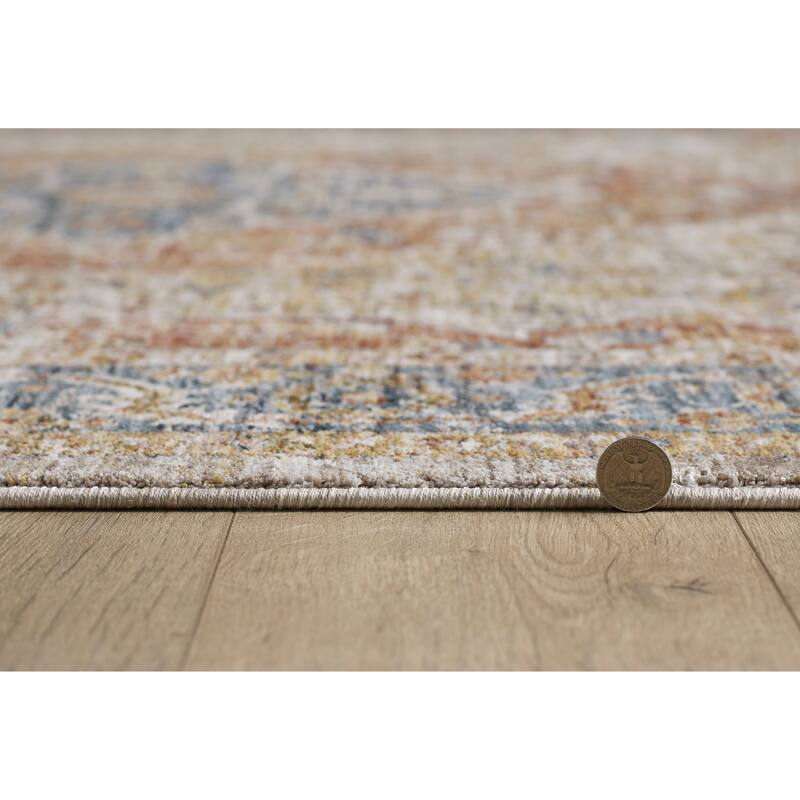 Domani Opulence Distressed Persian Area Rug