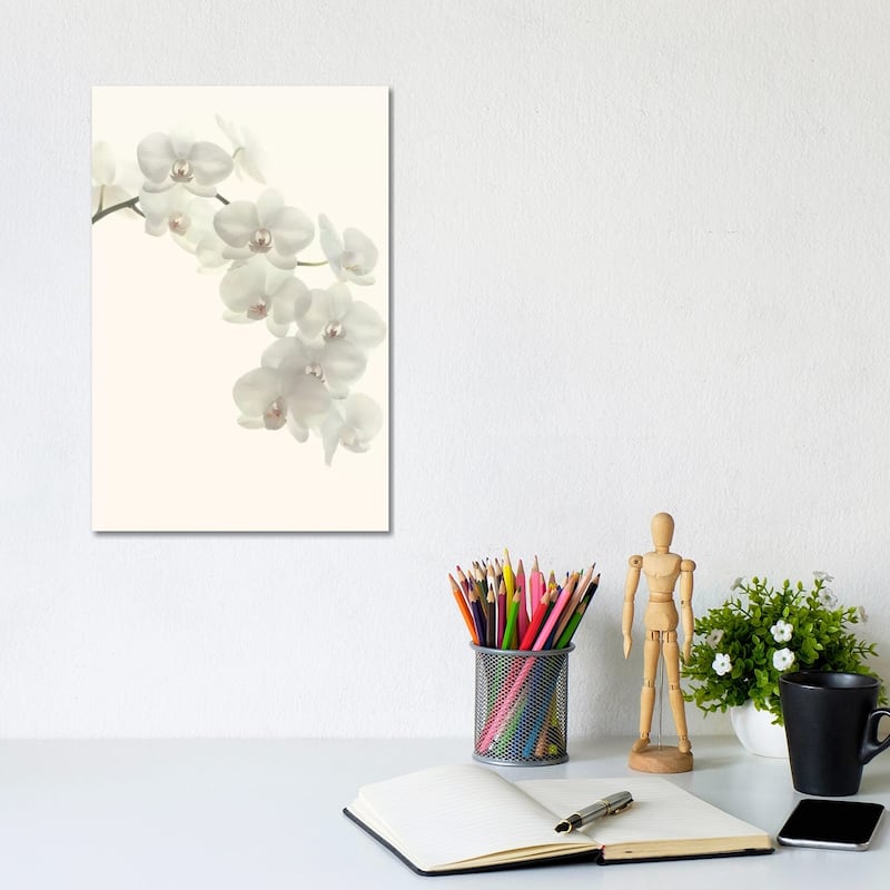 iCanvas "White Orchids" by Alyson Fennell Canvas Print - 12x8x0.75