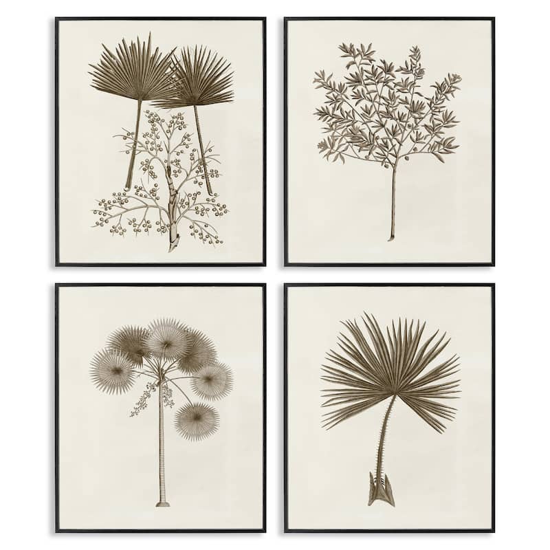 Stupell Various Vintage Palm Leaves Framed Giclee Art Design By Phillipa Katz (Set of 4) - 11 x 14 - Black