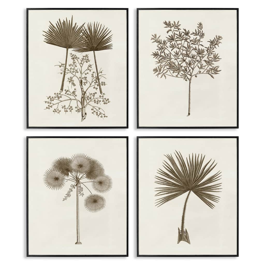 Stupell Various Vintage Palm Leaves Framed Giclee Art Design By Phillipa Katz (Set of 4)