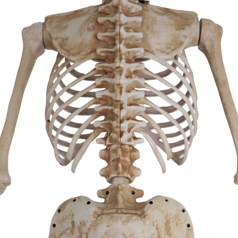 Haunted Hill Farm 8-Ft. Tall Bones McNeely the Towering Skeleton, Premium Talking Halloween Animatronic, Plug-In