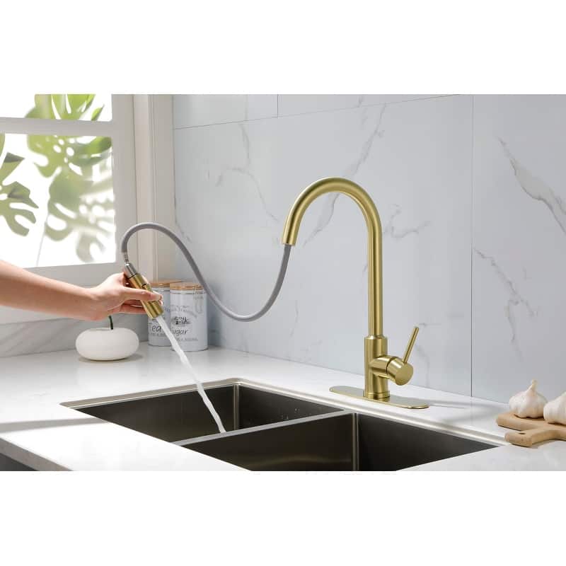 Kitchen Faucet with Pull Down Sprayer