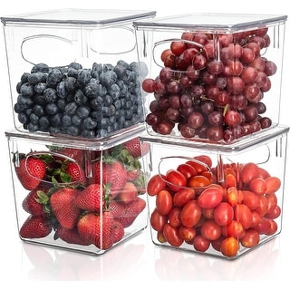 https://ak1.ostkcdn.com/images/products/is/images/direct/03beb866eb27b33ab190aa30659fa21a6f8e7402/Sorbus-Clear-Plastic-Organizer-Storage-Bin-Containers-with-Handle-and-Lid-for-Pantry-Food-%26-Kitchen-Fridge-%284-Pack%29.jpg