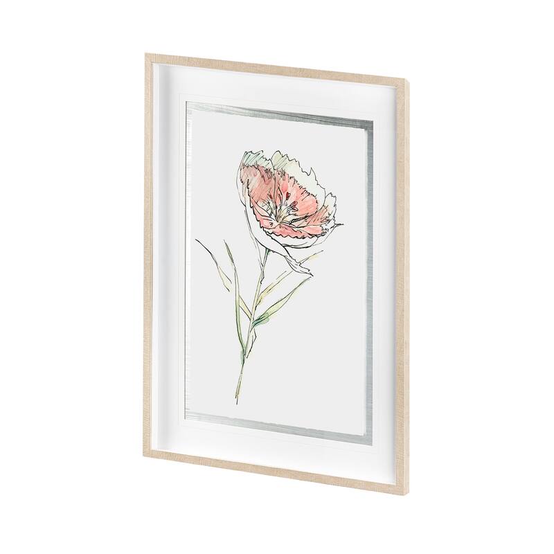 Dianthus II Framed Art Print