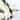 FloralGoods Silk Peony Stem in White 20" Tall