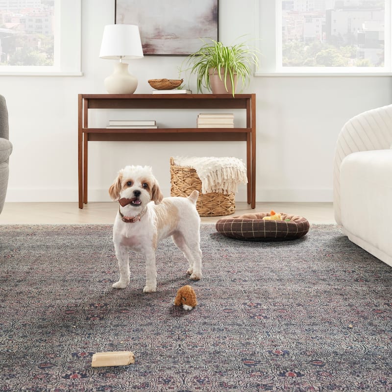 Brilliance Machine Washable Vintage Oriental Medallion Area Rug