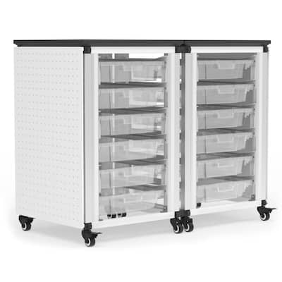 Modular Classroom Storage Cabinet - 2 side-by-side modules with 12 small bins - N/A