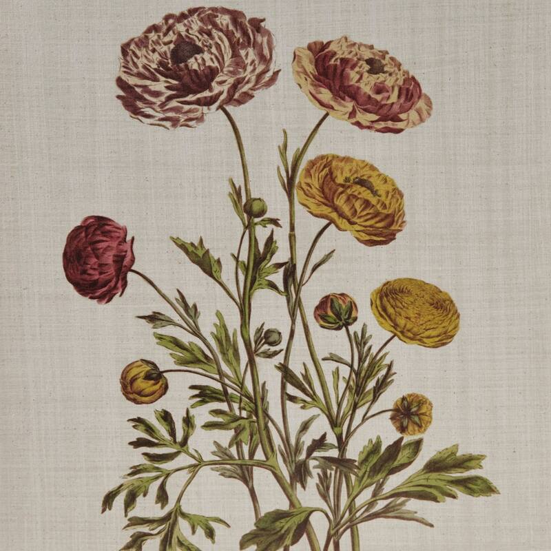 GDF Studio - Herbal Botany 4-Piece Botanical Illustration Framed Canvas Wall Art Set