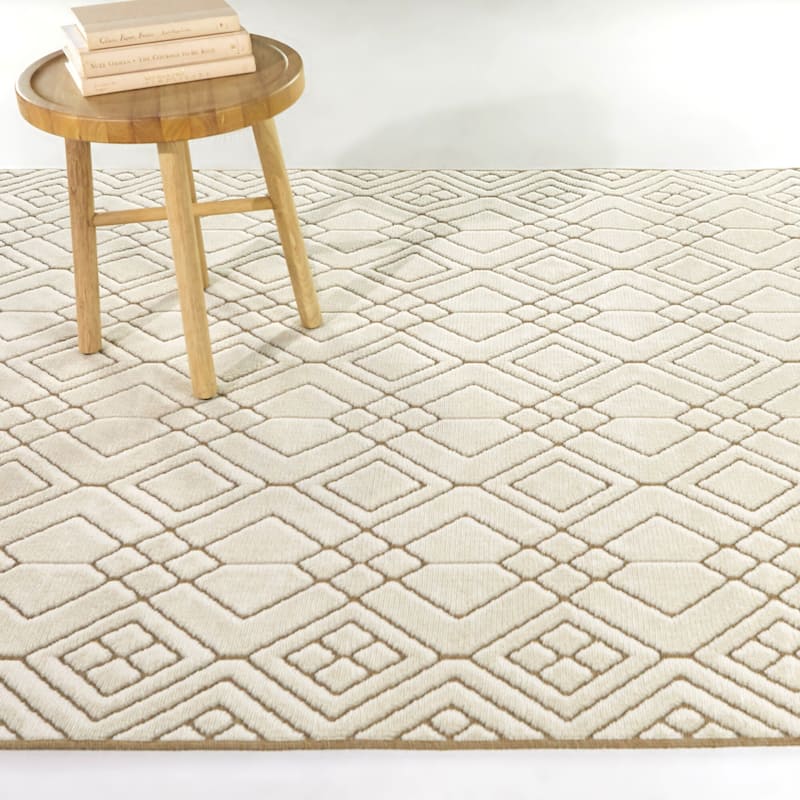 Munoz Transitional Trellis Area Rug - 5'3" x 7' - Cream