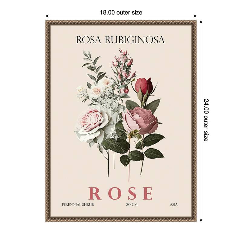Vintage Botanical Rose Illustration by Christopher Giampietro Framed Canvas Wall Art Print - Gold - 18 x 24 in