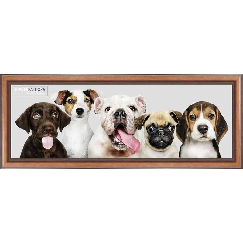 24x8 Traditional Walnut Complete Wood Picture Frame with UV Acrylic, Foam Board Backing, & Hardware