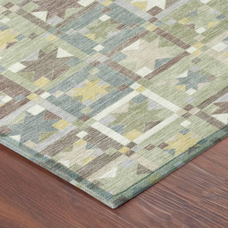 Machine Washable Indoor/ Outdoor Global Goddard Chantille Rug