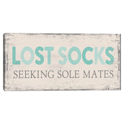Lost Socks Canvas Art Print