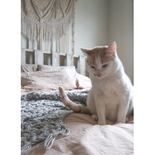 All Natural Prewashed Yarn Dye Cotton Chambray Duvet Cover Set - Luxurous Soft, Wrinkled Look, Eco-Friendly Package