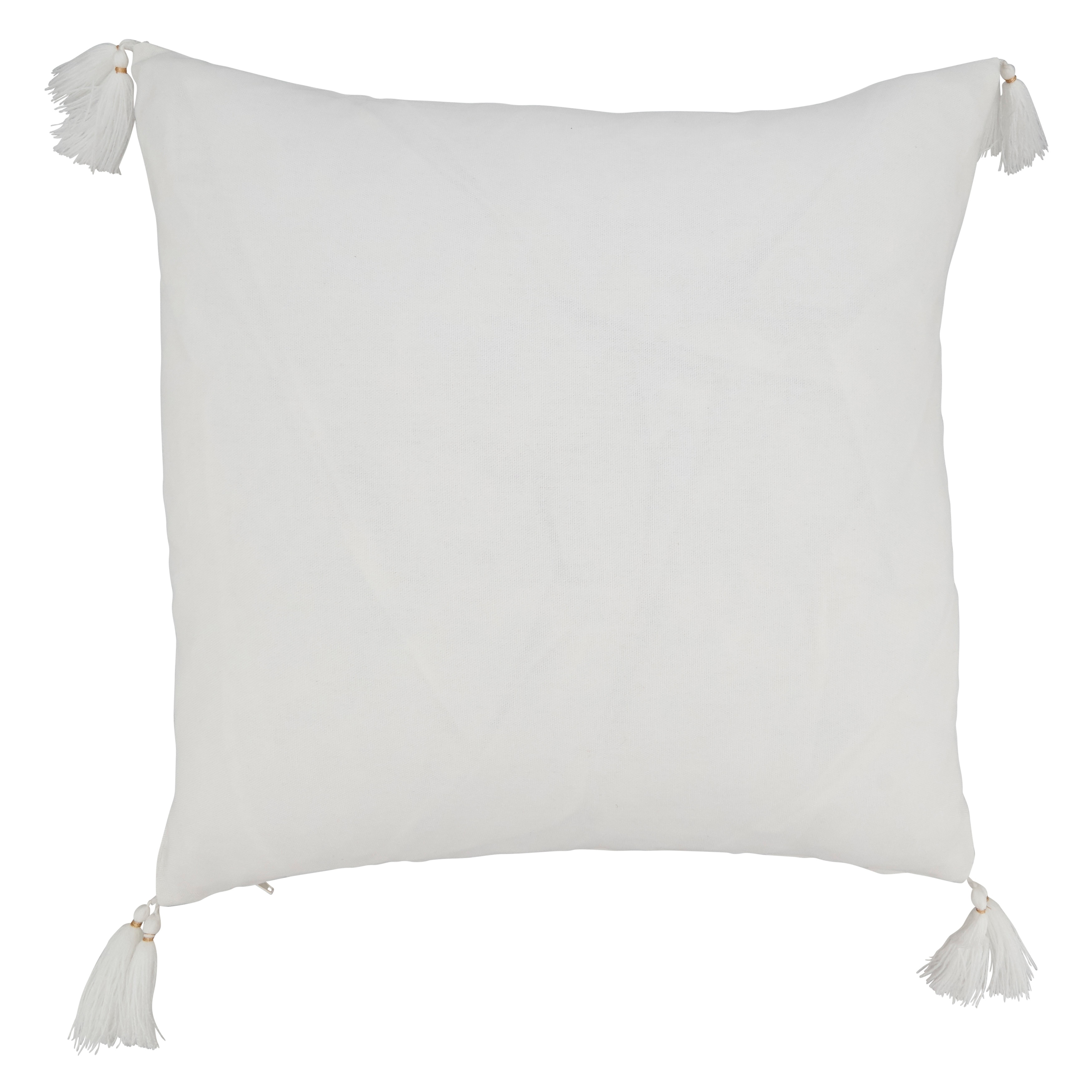 https://ak1.ostkcdn.com/images/products/is/images/direct/03d74826a67f9624e740602ca13a50b5f20f9e2f/Frosty-Flair-Snowflake-Throw-Pillow-with-Tassels.jpg