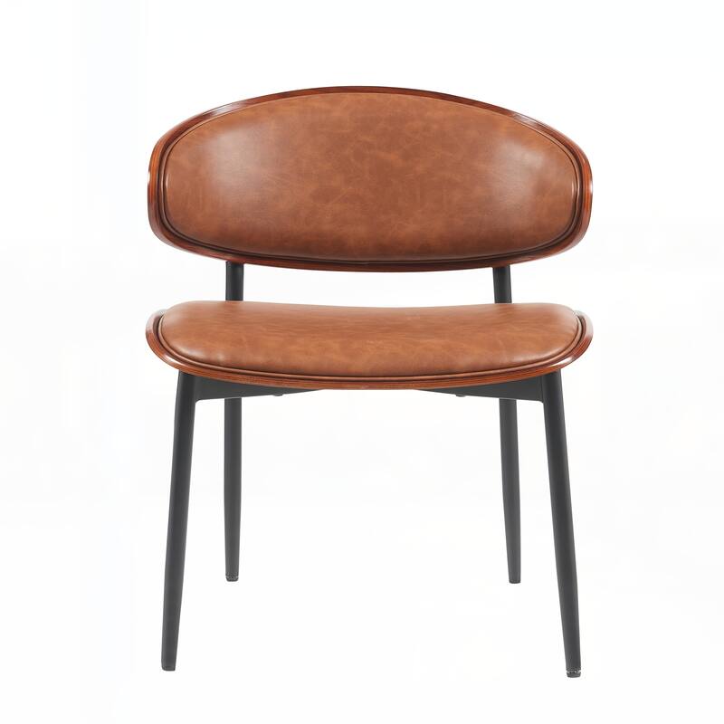 Mid-Century Modern Dining Chairs Set of 2,only chairs