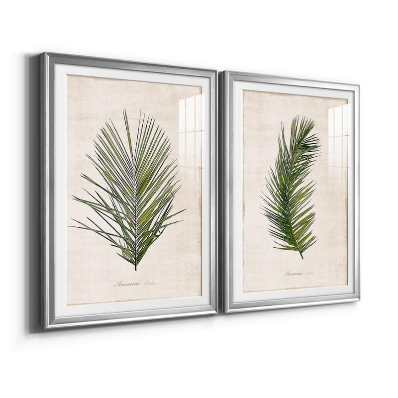 Palm Botanical I Premium Framed Print - Ready to Hang