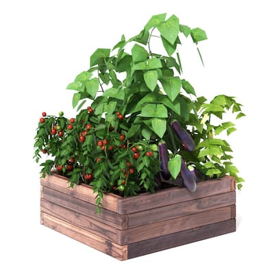 Raised Garden Bed, Wood Planter Box, Outdoor Planting Bed for Vegetable ...