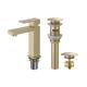 Option Satin Brass