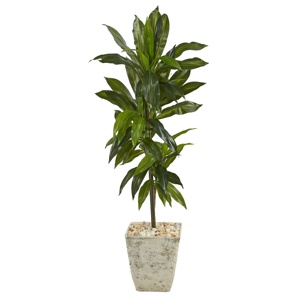 4' Dracaena Artificial Plant in Country White Planter (Real Touch)