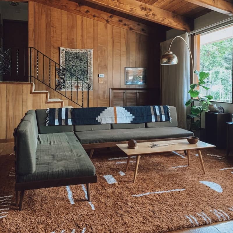 Carson Shag Area Rug