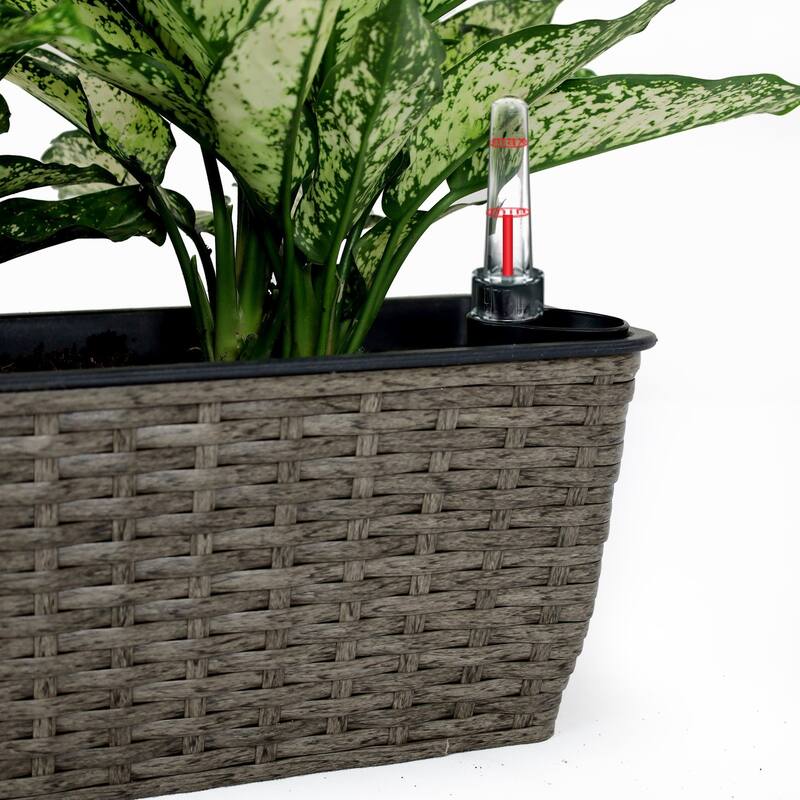 DTY Signature 2-Pack Catleza Self-watering Planter - Hand Woven Wicker - Rectangular