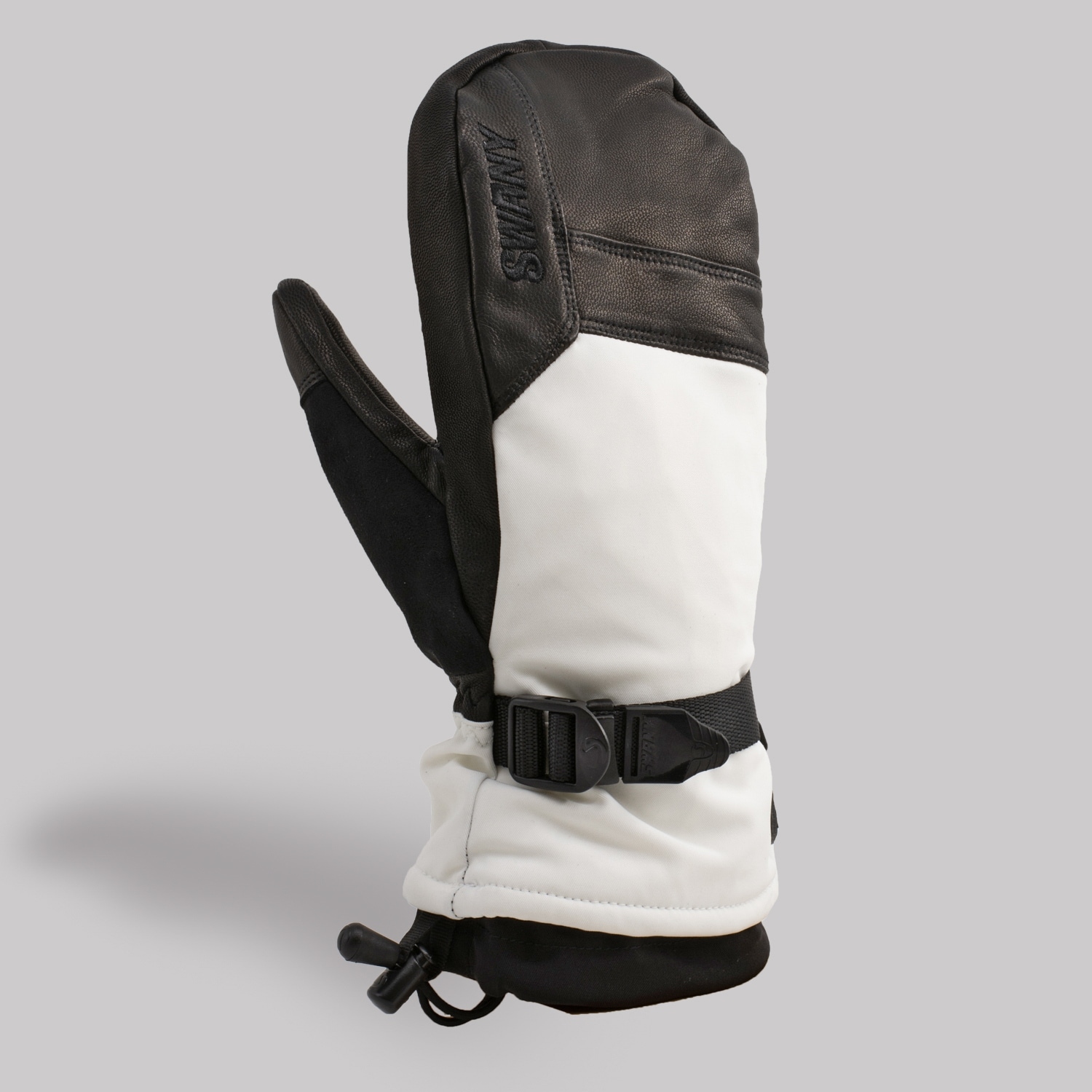 Swany Men's Gore Winterfall Mitt