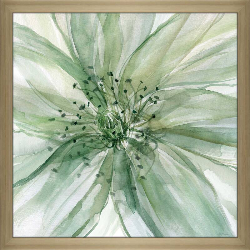 "Macro Sage Flower II" by Carol Robinson Print on Acrylic