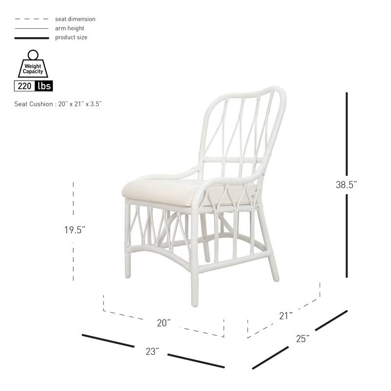 NPD Furniture Ayanna Modern Bohemian Rattan Dining Chair