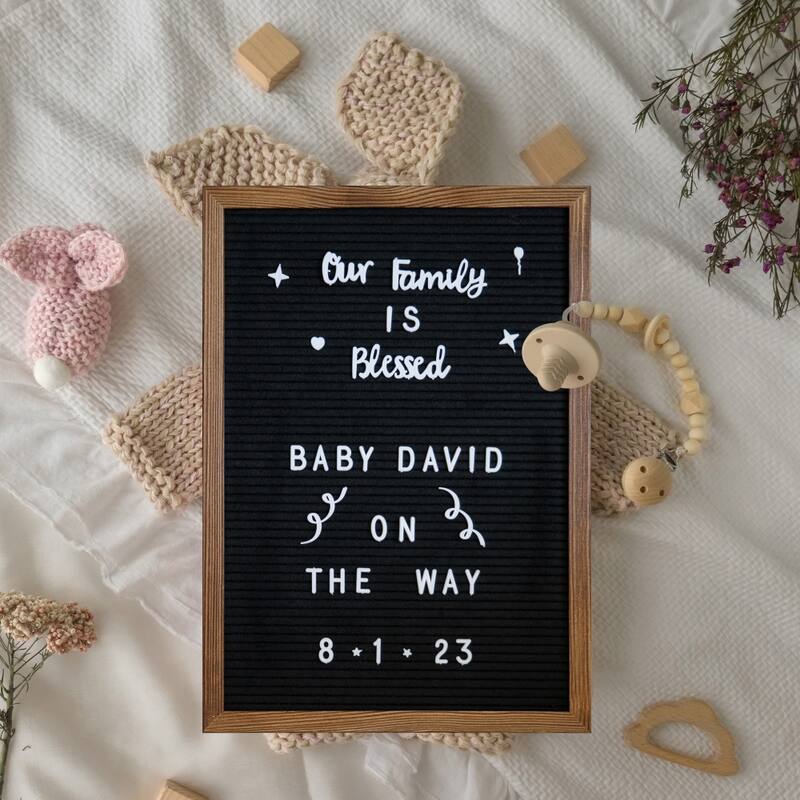 Wood Frame Letter Board with 389 PP Letters and Canvas Carry Bag