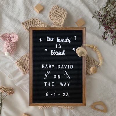 Wood Frame Letter Board with 389 PP Letters and Canvas Carry Bag