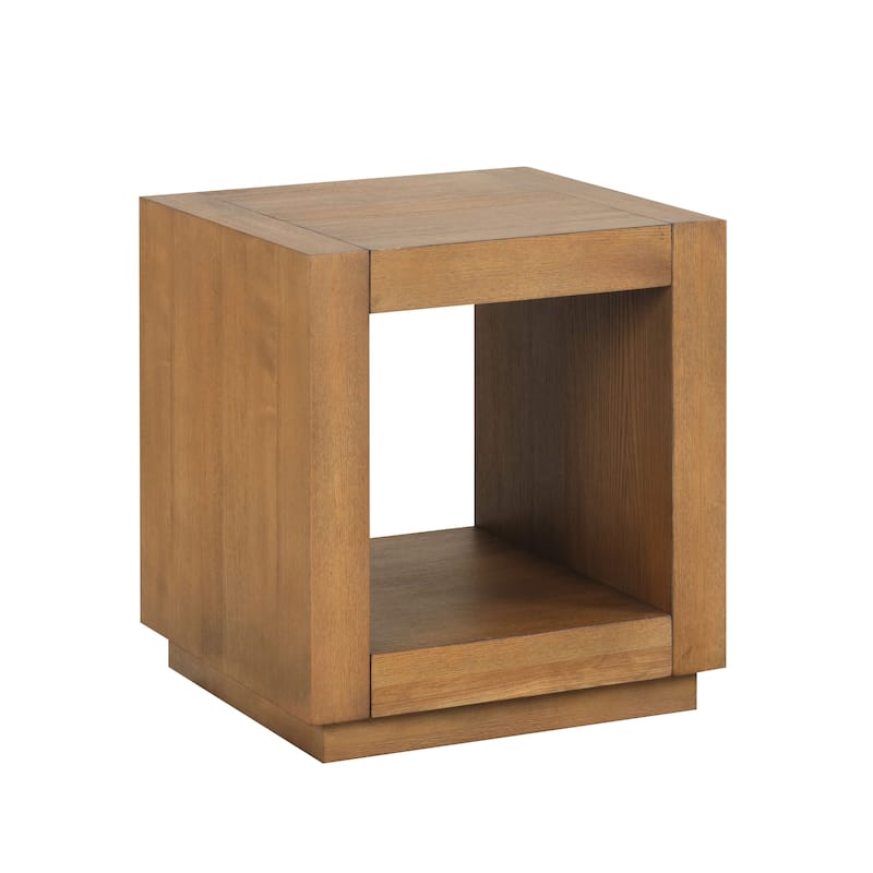 Furniture of America Gryel Modern 20-inch 1-Shelf End Table
