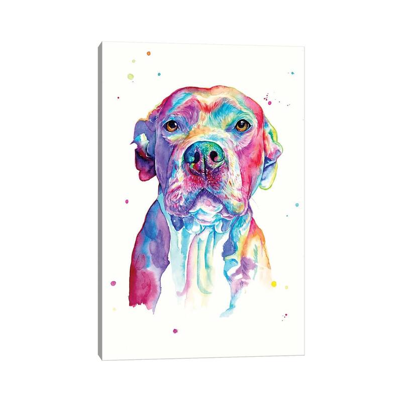 iCanvas "Pitbull" by Yubis Guzman Canvas Print