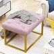 preview thumbnail 71 of 74, Upholstered Tufted Velvet Ottoman, Modern End of Bed Bench with Golden Metal Frame, Entryway Footrest Stool Pink